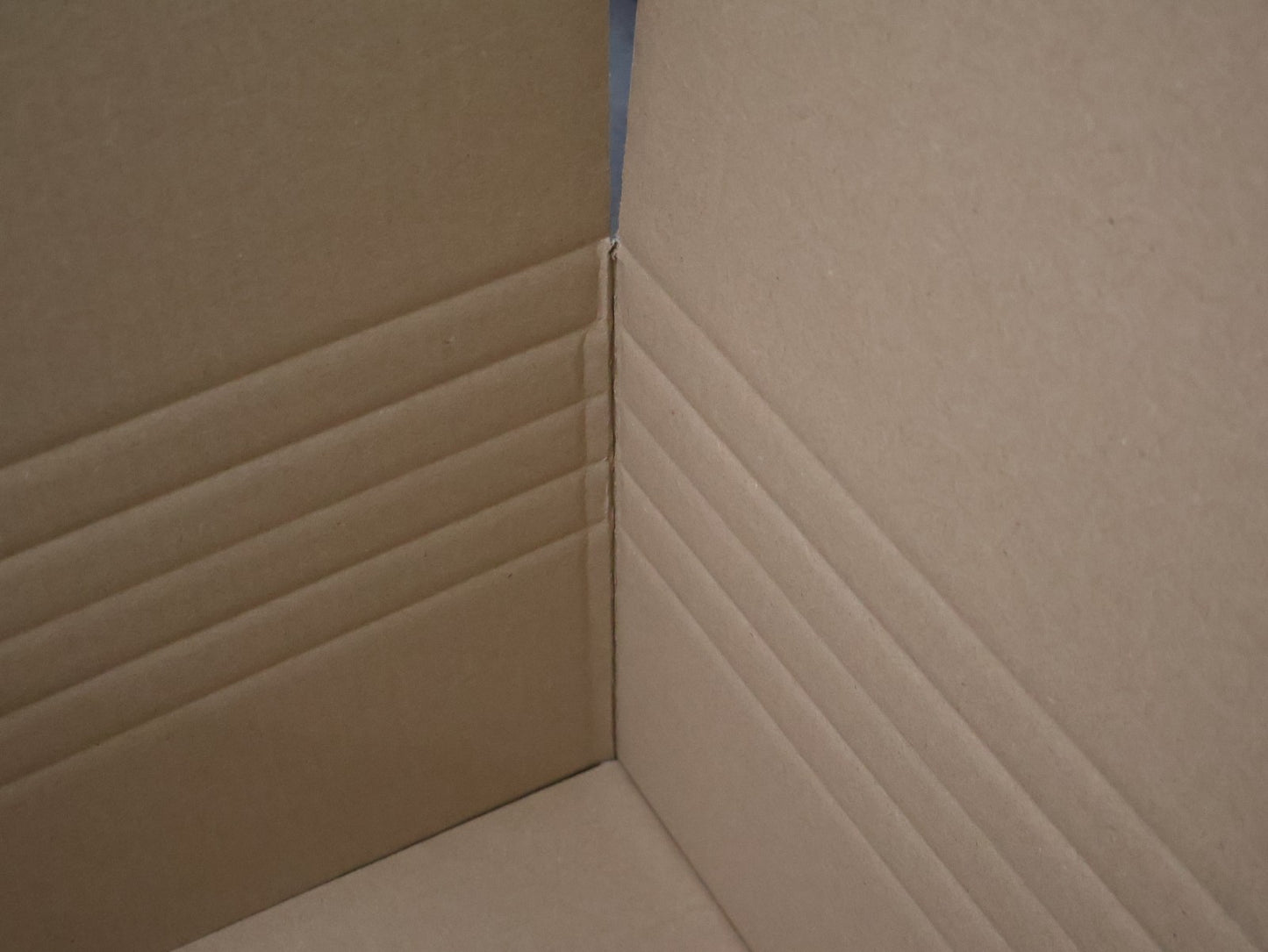 https://i.ebayimg.com/00/s/MTIwMVgxNjAw/z/yUIAAeSwXVZpuVX8/$_57.JPG?set_id=880000500F